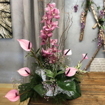 orquídeas en alto